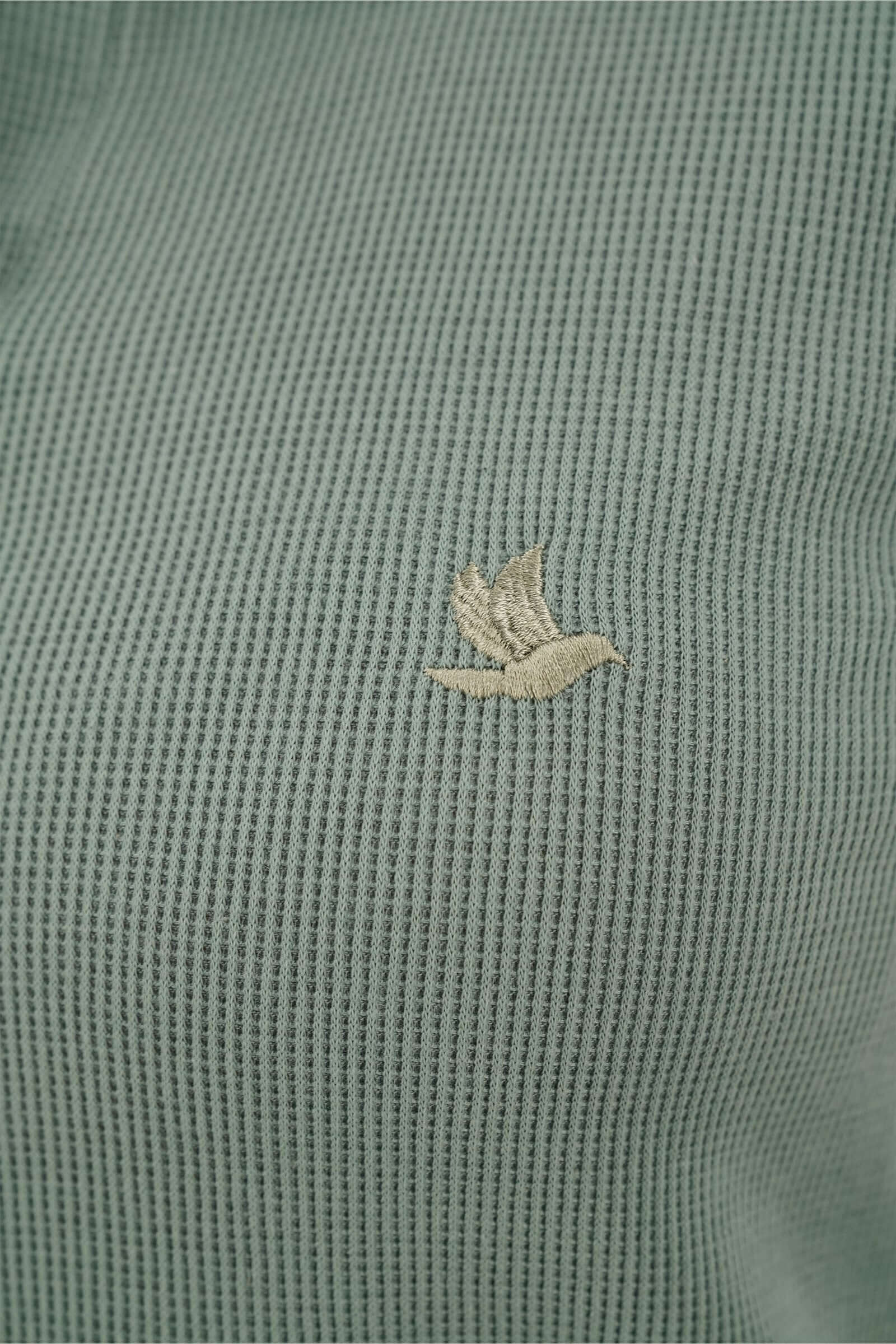 Miniatura 19